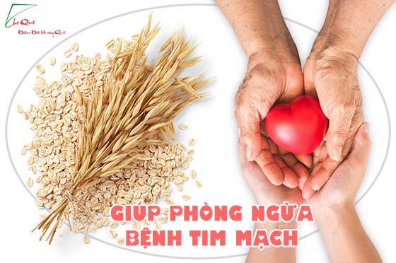 Tác dụng của bột yến mạch